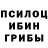 Псилоцибиновые грибы прущие грибы Svetlana Vaisman